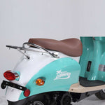 2023 Wolf Brand Islander - Seafoam Green